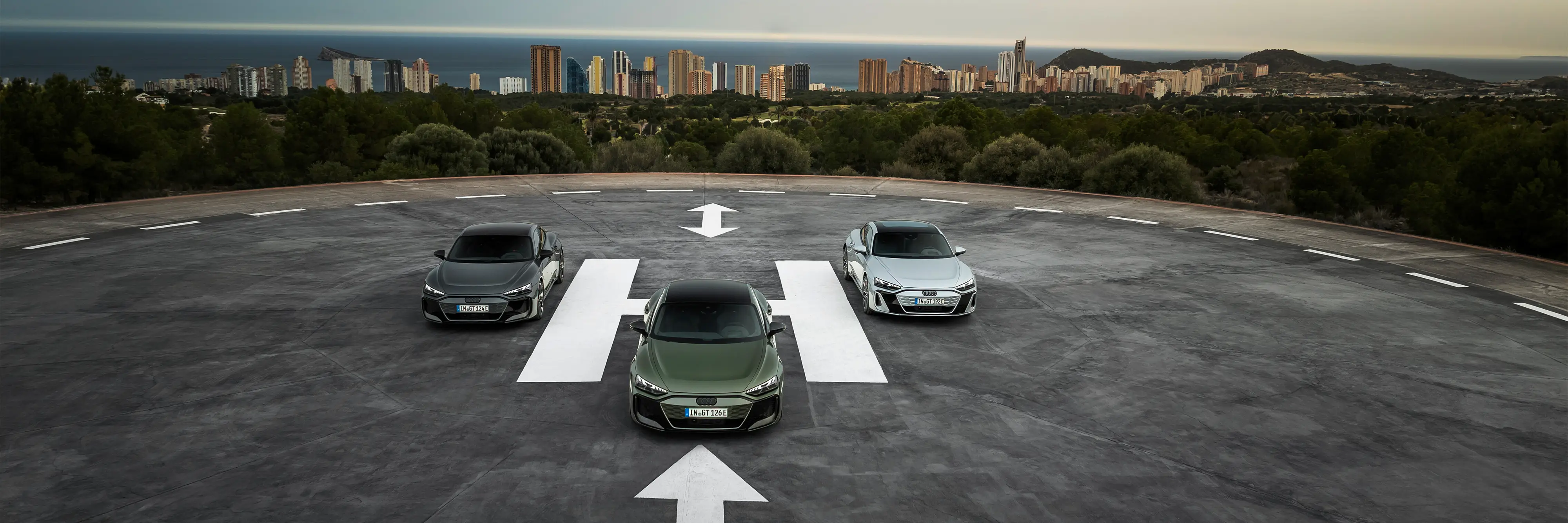 Manuale de utilizare pentru toate modelele Audi